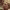 https://res.cloudinary.com/billionhands/image/upload/v1776922246/items/xzeigw4unpgyba4slgis.jpg-1cover