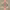 https://res.cloudinary.com/billionhands/image/upload/v1776923056/items/zdxz0oo9364mem3rxfkh.jpg-3cover