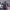 https://res.cloudinary.com/billionhands/image/upload/v1776923589/items/q2im4qw0rmmnq3hkwyyd.jpg-2cover