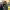 https://res.cloudinary.com/billionhands/image/upload/v1776926084/items/sdpowyln6bsuy33lvcu0.webp-3cover