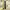 https://res.cloudinary.com/billionhands/image/upload/v1776926180/items/sdbguci2pn1hepr9epac.webp-1cover