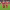 https://res.cloudinary.com/billionhands/image/upload/v1776926279/items/tktaqg7nuf5zh5wztzzv.jpg-2cover