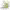 https://res.cloudinary.com/billionhands/image/upload/v1776926909/items/s6zk7ovhxi10lsf7louk.webp-2cover