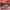 https://res.cloudinary.com/billionhands/image/upload/v1776927761/items/xnksffx09k8f9vyo6s9c.jpg-2cover
