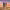 https://res.cloudinary.com/billionhands/image/upload/v1776927762/items/j837scxvuaglclgugfbe.webp-3cover