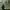 https://res.cloudinary.com/billionhands/image/upload/v1776929505/items/ixjfaexzhac10iajqotz.jpg-2cover