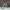 https://res.cloudinary.com/billionhands/image/upload/v1776934545/items/rder33d15l7rszetxuhg.jpg-1cover