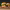 Manteca Burgers cover