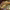 https://res.cloudinary.com/billionhands/image/upload/v1776940079/items/udr0ffuoovc6cgkfznng.jpg-1cover