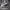 https://res.cloudinary.com/billionhands/image/upload/v1776940183/items/hzfetfpcb2uaadoui1dh.jpg-0cover