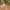 https://res.cloudinary.com/billionhands/image/upload/v1776941838/items/ygxhfcblktisbbpvlxpf.webp-0cover