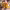 https://res.cloudinary.com/billionhands/image/upload/v1776941851/items/lhelw1rljvfzs80lvwvc.jpg-0cover