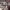 https://res.cloudinary.com/billionhands/image/upload/v1776941873/items/mrjfmxyuvjewsyxhm31c.jpg-0cover