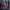 Canciones pop con los mejores visualizers de 2025 cover