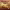 https://res.cloudinary.com/billionhands/image/upload/v1776944259/items/ixevnjevwa8hqhxpcetb.jpg-1cover