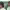 https://res.cloudinary.com/billionhands/image/upload/v1776946242/items/xqahgafpexdkuc60lp1d.jpg-3cover