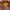 https://res.cloudinary.com/billionhands/image/upload/v1776949132/items/ejn5brifxy9m4xpshrww.jpg-0cover