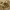 https://res.cloudinary.com/billionhands/image/upload/v1776954888/items/yalb6kighhcb6dcfl0wm.webp-1cover