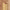 https://res.cloudinary.com/billionhands/image/upload/v1776954956/items/pwl2mmowf6hcnoifodqf.jpg-3cover