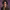 https://res.cloudinary.com/billionhands/image/upload/v1776956703/items/sqmejzkqsczneegqn3c6.jpg-2cover