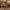 https://res.cloudinary.com/billionhands/image/upload/v1776957376/items/cu79os3uottth1z2admv.jpg-1cover