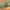https://res.cloudinary.com/billionhands/image/upload/v1776959228/items/vgyhzj4zfntg54vos80r.jpg-0cover