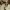 https://res.cloudinary.com/billionhands/image/upload/v1776959232/items/vdgmmastfez5jmophnbr.jpg-0cover