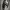 https://res.cloudinary.com/billionhands/image/upload/v1776960909/items/kluqrnuimjus5qmguvd5.jpg-0cover