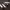 https://res.cloudinary.com/billionhands/image/upload/v1776961659/items/lekussmlpacexb2pp1xd.jpg-0cover