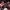 https://res.cloudinary.com/billionhands/image/upload/v1776963252/items/k5hkqaxrsii6np9hhiss.jpg-2cover