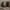 https://res.cloudinary.com/billionhands/image/upload/v1776966887/items/dzbajnhd7qcf7c1ky2yx.jpg-2cover