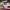 https://res.cloudinary.com/billionhands/image/upload/v1776967640/items/k8qiqsrah9ov1ghxbcqx.webp-2cover