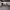https://res.cloudinary.com/billionhands/image/upload/v1776967641/items/ou5xrpkfid360geryhpn.webp-3cover