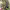 https://res.cloudinary.com/billionhands/image/upload/v1776976222/items/s5dvgyg7ad5wb44npirx.jpg-2cover
