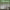 https://res.cloudinary.com/billionhands/image/upload/v1776976905/items/ohj2rz6pwqbrjd7mvxbc.gif-2cover