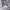 https://res.cloudinary.com/billionhands/image/upload/v1776981876/items/mfmoadtbxzk2ihduvreh.jpg-3cover