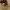 https://res.cloudinary.com/billionhands/image/upload/v1776982514/items/up3z6631acabjopwhzaq.jpg-2cover