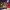 https://res.cloudinary.com/billionhands/image/upload/v1776982515/items/co5bkeqyibpxqdgyxmoq.jpg-3cover