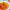 https://res.cloudinary.com/billionhands/image/upload/v1776984108/items/ggcnseeo3vch99giqvkf.jpg-1cover