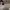 https://res.cloudinary.com/billionhands/image/upload/v1776990369/items/egtt0u6hzyqtoblmf6ln.webp-0cover