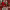 https://res.cloudinary.com/billionhands/image/upload/v1776990392/items/u99fqivglcartt1n09av.jpg-1cover