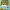 https://res.cloudinary.com/billionhands/image/upload/v1776992450/items/ozgmnyv5rqxzuvmajot2.jpg-2cover