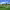 https://res.cloudinary.com/billionhands/image/upload/v1776992450/items/w6lxozjup4wtu47alawv.jpg-1cover
