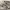 https://res.cloudinary.com/billionhands/image/upload/v1777000979/items/yfomlj6hv7pso3sqdr7s.jpg-1cover
