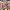 https://res.cloudinary.com/billionhands/image/upload/v1777002144/items/scprksjvuuu1rmhy6kfd.avif-2cover