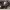 https://res.cloudinary.com/billionhands/image/upload/v1777003863/items/npydxznfqaldciusf7mz.jpg-2cover