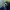 Lo Vas a Olvidar (con Billie Eilish) (2021) cover