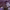 https://res.cloudinary.com/billionhands/image/upload/v1777007559/items/ecef6q6fvibbgrwouie5.png-3cover