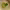 https://res.cloudinary.com/billionhands/image/upload/v1777013884/items/xygsn46heoqvmype27er.jpg-1cover