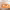 https://res.cloudinary.com/billionhands/image/upload/v1777013895/items/dhqvkuic6ftl14c4b8oi.jpg-1cover